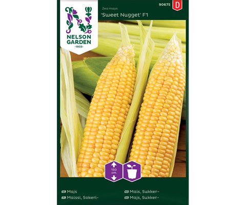 Frø mais Sweet Nugget