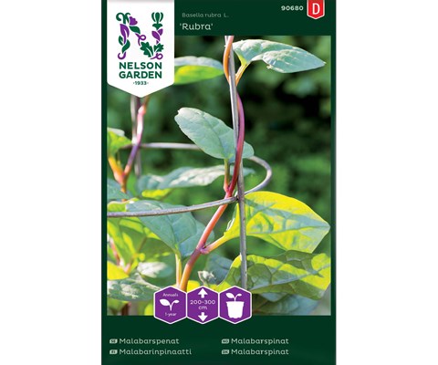 Frø malabarspinat Rubra