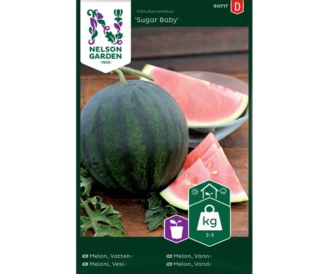 Frø vannmelon Sugar baby