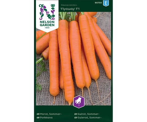 Frø sommergulrot FlyAway