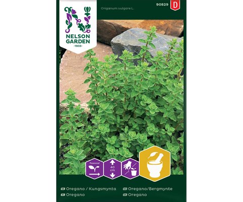 Frø oregano/bergmynte