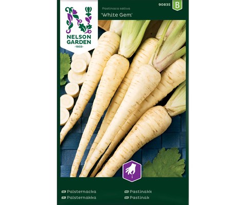 Frø pastinakk White Gem