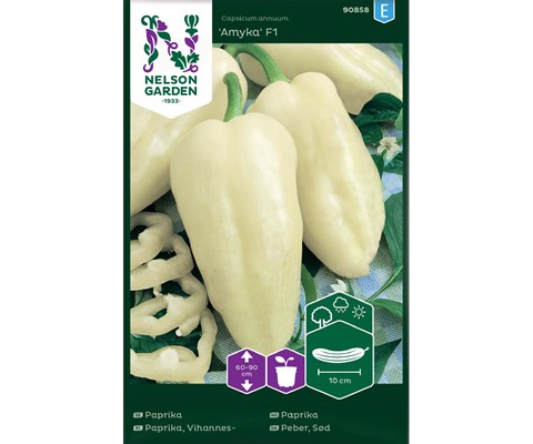 Frø paprika Amyka