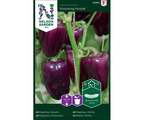Frø pottepaprika Snacking Purple