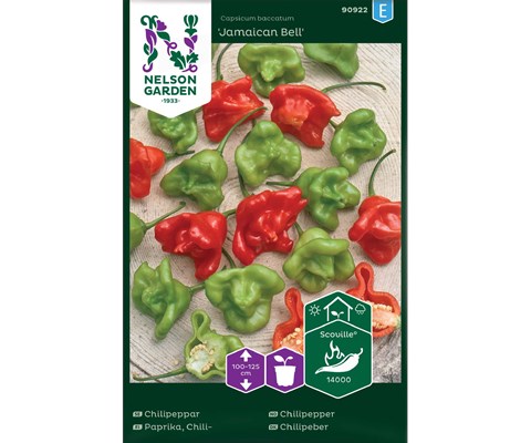 Frø chilipepper Jamaican Bell