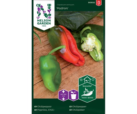 Frø chilipepper Padron