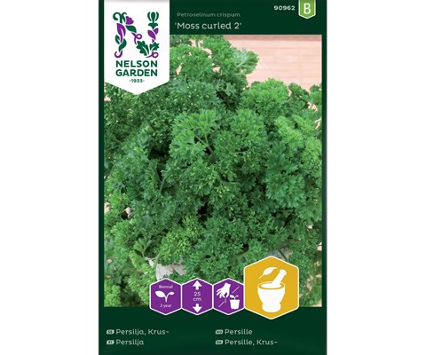 Frø persille Moss Curled 2