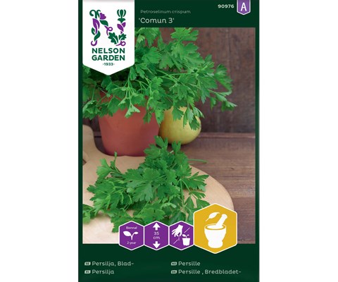 Frø persille Comun 3