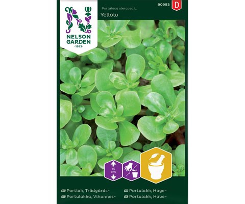 Frø hageportulakk Yellow