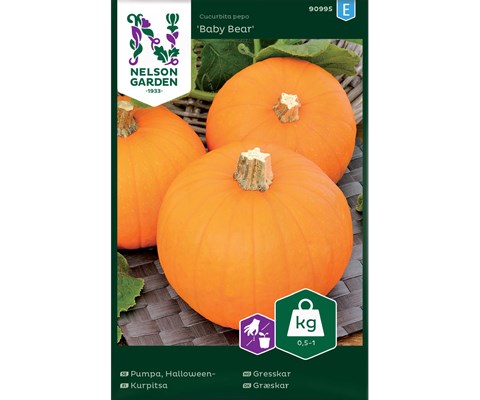 Frø gresskar Baby Bear