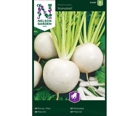 Frø mainepe Snowball