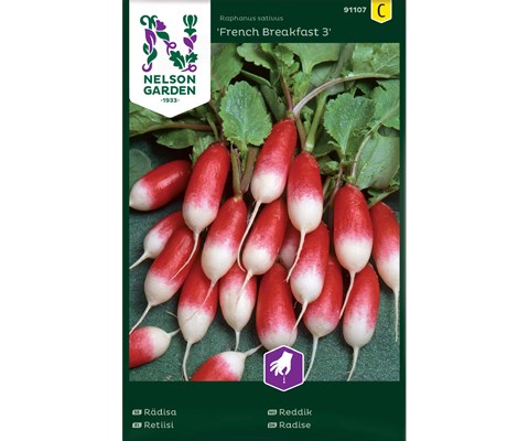 Frø reddik French Breakfast 3