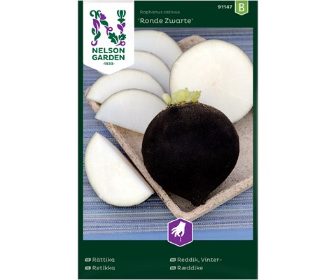 Frø vinterreddik Ronde Zwarte