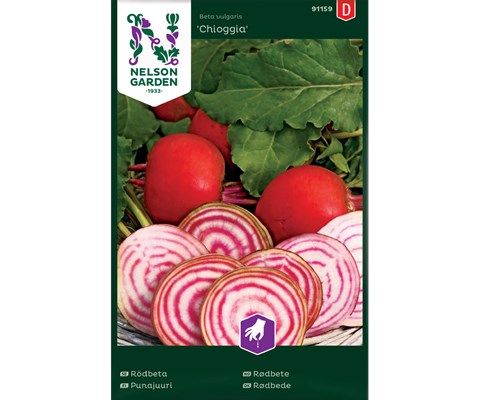 Frø rødbete Chioggia