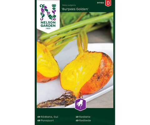 Frø rødbete Burpees Golden