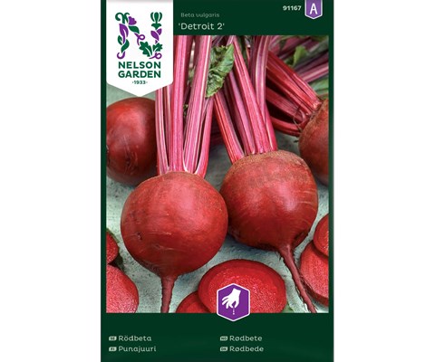 Frø rødbete Detroit 2