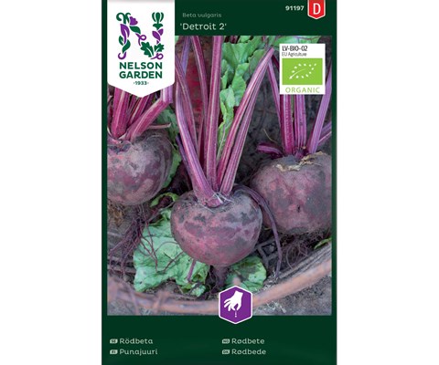 Frø rødbete Detroit 2 økologisk