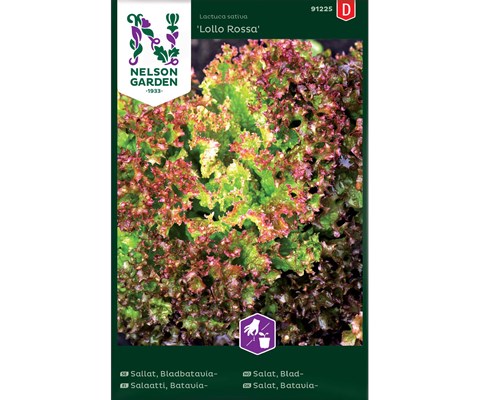 Frø bladsalat Lollo Rossa