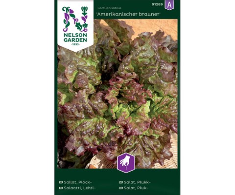 Frø plukksalat Amerkanischer brauner
