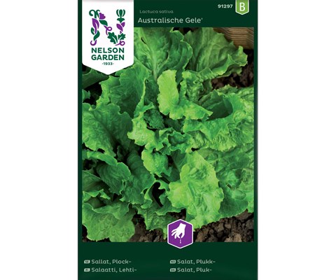 Frø plukksalat Australische Gele