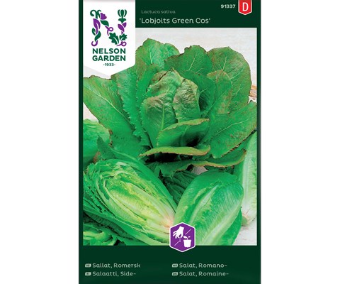 Frø romanosalat Lobjoits Green Cos