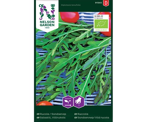 Frø ruccola økologisk