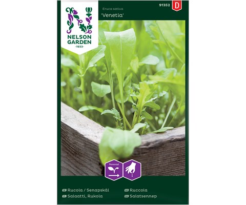 Frø ruccola Venetia