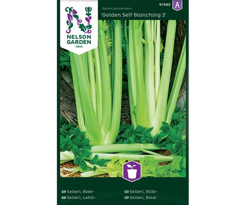 Frø stilkselleri Golden Self Blanching 2