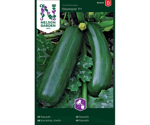 Frø squash Diamant