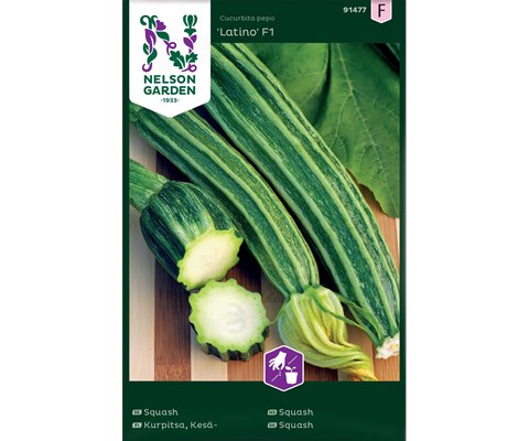 Frø squash Latino