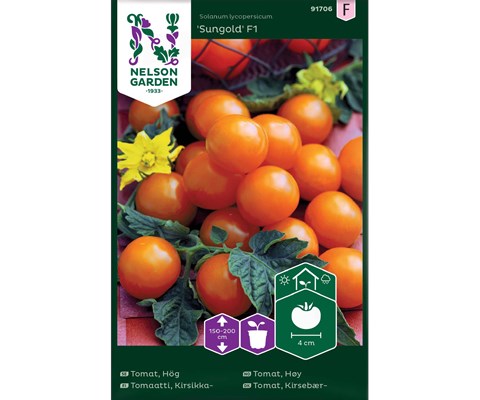Frø tomat høy Sungold