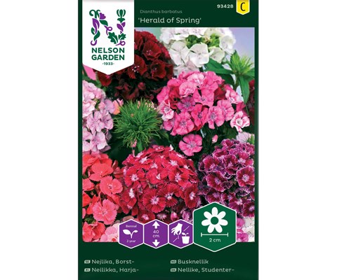 Frø busknellik Herald of Spring