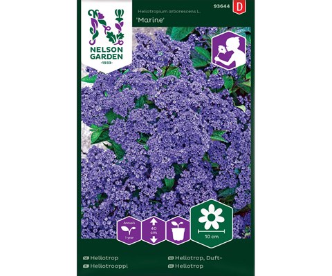 Frø duftheliotrop Marine