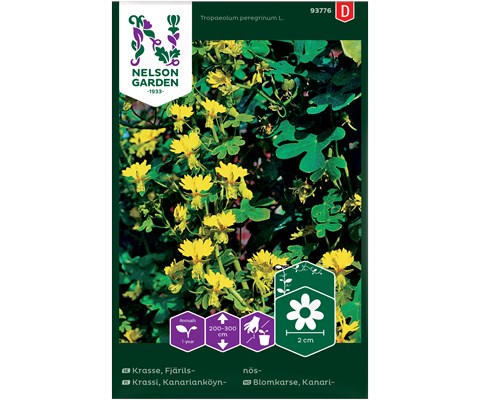 Frø blomkarse Kanari