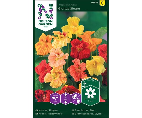 Frø blomkarse Glorius Gleam