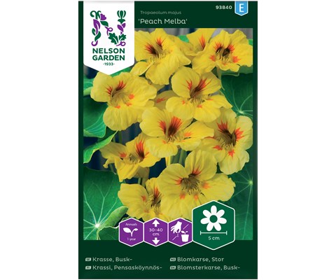 Frø blomkarse Peach Melba