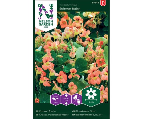 Frø blomkarse Salomon Baby