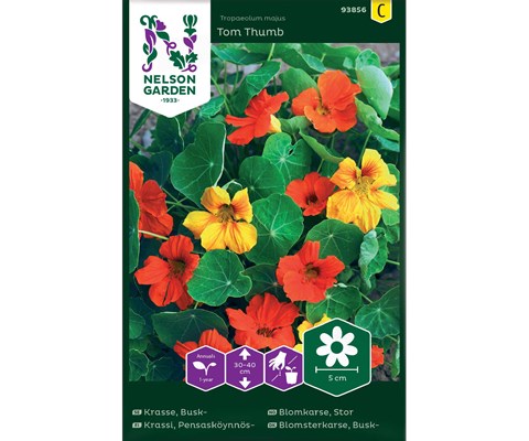 Frø blomkarse Tom Thumb
