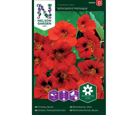 Frø blomkarse Whirlybird Mahogny