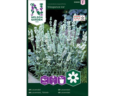 Frø lavendel Ellagance Ice