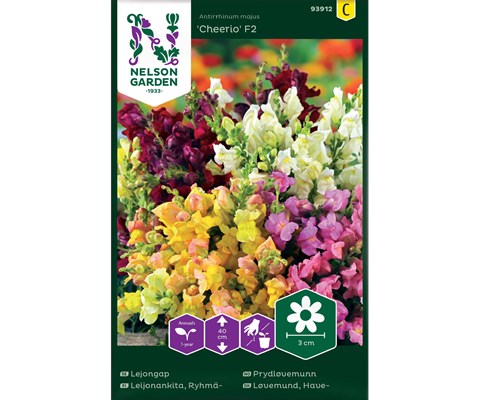 Frø prydløvemunn Cheerio