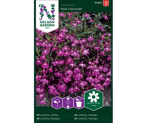 Frø hengelobelia Red Cascade