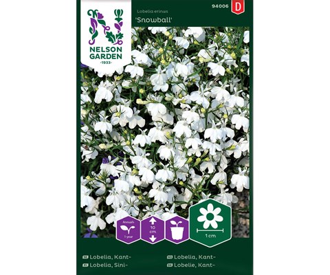 Frø kantlobelia Snowball