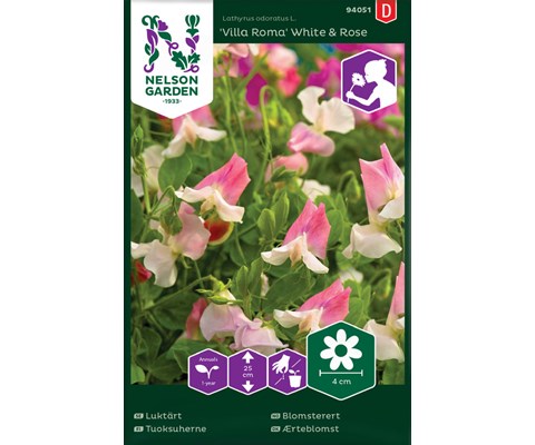 Frø blomsterert Villa Roma