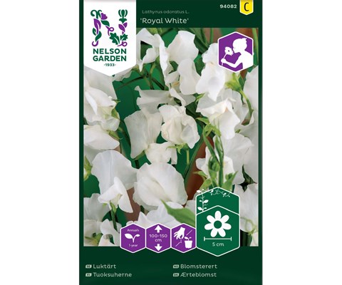 Frø blomsterert Royal White