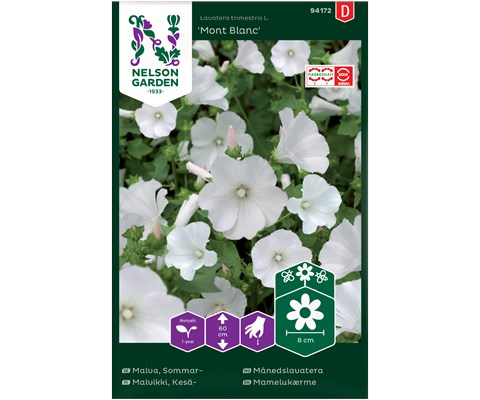 Frø månedslavatera Mont Blanc