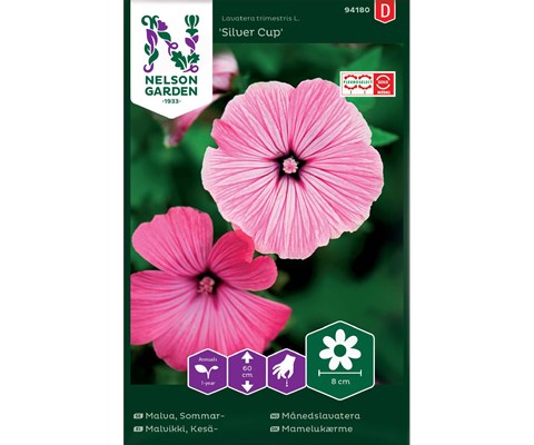 Frø månedslavatera Silver Cup