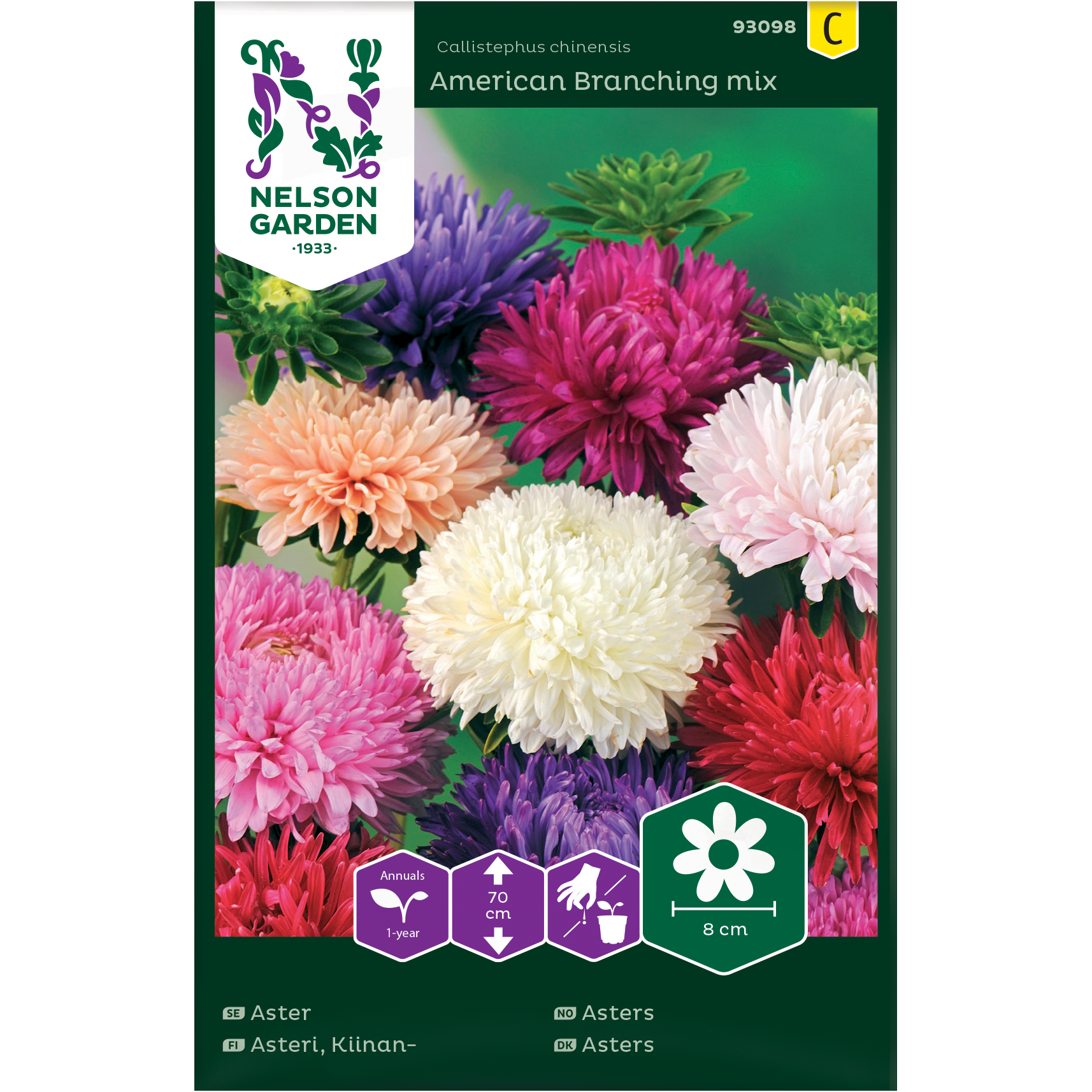 Frø Amerikan asters