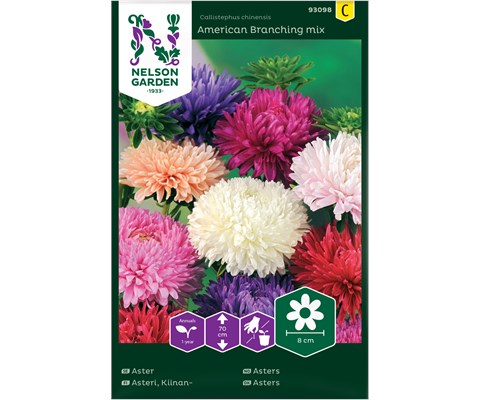 Frø asters American Branching mix