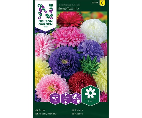 Frø asters Semi-Tall mix
